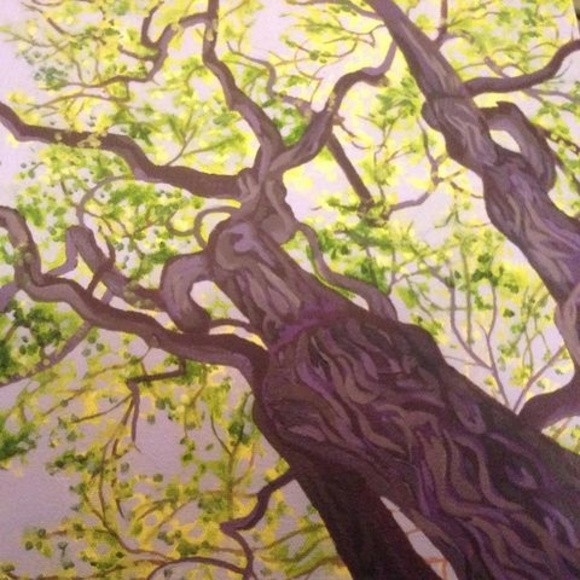 Meet your Posher, Denise - Picture 1 of 1